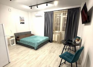 Квартира в аренду студия, 30.7 м2, Ростов-на-Дону, улица 26-я Линия, 35/2