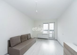 Квартира в аренду студия, 24 м2, Санкт-Петербург, улица Генерала Кравченко, 3к3, муниципальный округ Сосновая Поляна