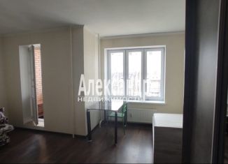 Продается квартира студия, 24.8 м2, посёлок Парголово, Толубеевский проезд, 20к1