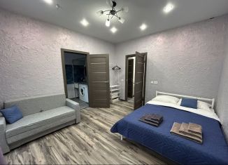 Сдача в аренду 1-ком. квартиры, 31 м2, Нижний Новгород, улица Костина, 5