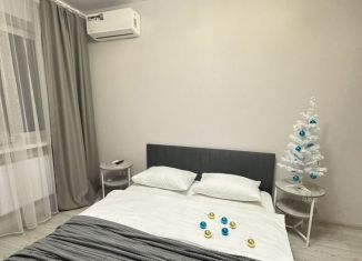 Сдаю однокомнатную квартиру, 41.1 м2, Ростов-на-Дону, улица Нансена, 103/1/6