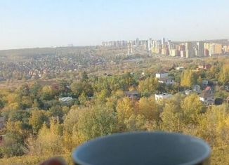 Сдаю квартиру студию, 19 м2, деревня Афонино, улица Красная Поляна, 2