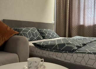 Сдам в аренду 1-комнатную квартиру, 38 м2, Йошкар-Ола, улица Анникова, 19