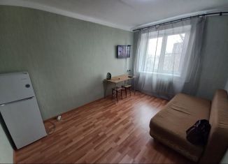 Продаю 1-ком. квартиру, 25 м2, Пятигорск, Сельская улица, 24к1