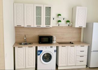 Продам квартиру студию, 29.6 м2, Мурино, Екатерининская улица, 19