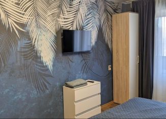 Сдается 1-ком. квартира, 31 м2, Мурманская область, улица Достоевского, 8