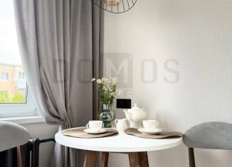 Продажа 1-ком. квартиры, 28 м2, Екатеринбург, Газетная улица, 38, метро Ботаническая