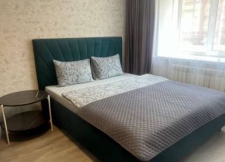 Сдача в аренду 1-ком. квартиры, 40 м2, Йошкар-Ола, улица Петрова, 31, микрорайон Молодёжный