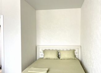 Сдаю в аренду 1-ком. квартиру, 38 м2, Йошкар-Ола, микрорайон Дубки, улица Мира, 51