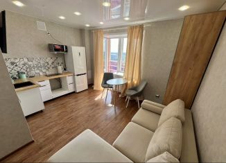 Квартира в аренду студия, 22.5 м2, Сыктывкар, Тентюковская улица