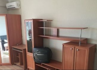 Квартира в аренду студия, 23 м2, Новосибирск, улица Громова, 17/2