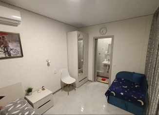 Дом в аренду, 30 м2, Феодосия, 4-й Степной проезд, 5