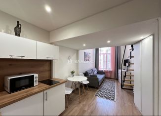 Продаю квартиру студию, 22 м2, Санкт-Петербург, Владимирский проспект, 1/47, метро Достоевская