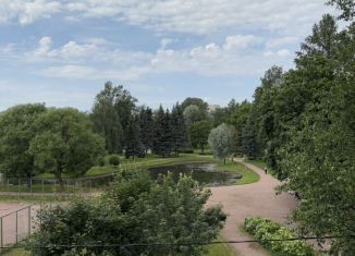 Аренда однокомнатной квартиры, 32.3 м2, Колпино, Тверская улица, 24