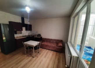 Сдается в аренду квартира студия, 28 м2, Анапа, Анапское шоссе, 24к8, ЖК Раз-Два-Три