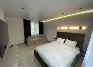 Сдаю в аренду 1-комнатную квартиру, 37.5 м2, Тихвин