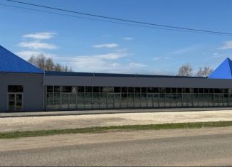 Аренда помещения свободного назначения, 50 м2, Марий Эл, улица Федина, 5