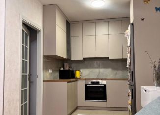 Сдается в аренду 1-ком. квартира, 45.6 м2, Нижний Новгород, улица Куйбышева, 67