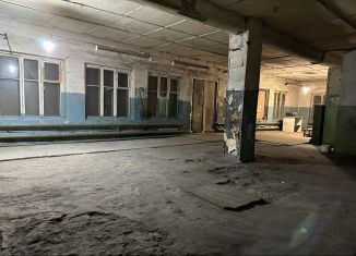 Сдается производство, 370 м2, Пензенская область, Октябрьская улица, 146