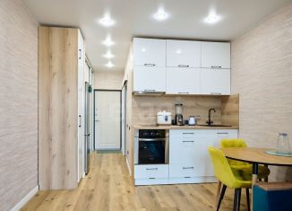 Продаю квартиру студию, 24 м2, деревня Хотицы, Загородная улица, 2, ЖК Молодёжный