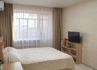 Сдам в аренду 1-ком. квартиру, 40 м2, Нижний Новгород, Гордеевская улица, 56