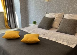 Сдам 1-ком. квартиру, 42 м2, Ярославль, улица Радищева, 7