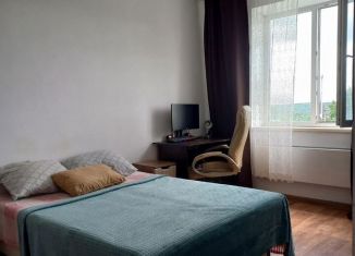 Продаю однокомнатную квартиру, 42.3 м2, Новосибирск, метро Золотая Нива, улица В. Высоцкого