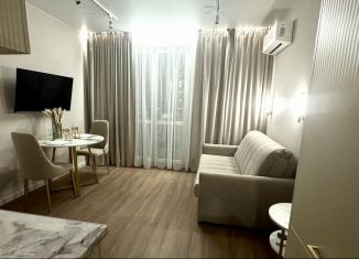 Сдам квартиру студию, 25 м2, Сочи, улица Искры, 88к10, микрорайон Кудепста