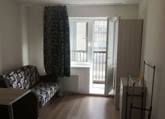 Сдается квартира студия, 23 м2, Санкт-Петербург, Советский проспект, 2, Невский район