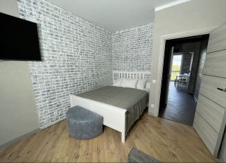 Сдается в аренду однокомнатная квартира, 39 м2, Геленджик, Туристическая улица, 4Гк4, ЖК Горизонт