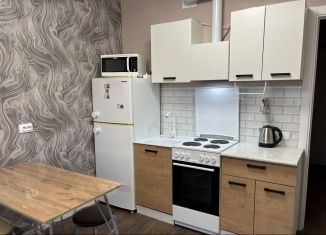 Сдается квартира студия, 19.8 м2, Санкт-Петербург, Муринская дорога, 31к1, метро Академическая