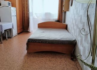 Сдаю квартиру студию, 25 м2, Новосибирск, улица Бориса Богаткова, 208/2, Октябрьский район