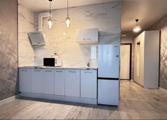 Сдаю квартиру студию, 30 м2, Ростов-на-Дону, улица Мечникова, 41/53, Ленинский район