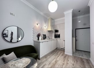 Сдаю 1-комнатную квартиру, 30 м2, Санкт-Петербург, Белоостровская улица, 10к1, Приморский район