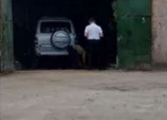 Сдаю гараж, 30 м2, Омская область, 1-я Транспортная улица, 1к4