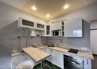 Сдаю в аренду квартиру студию, 30 м2, деревня Новое Девяткино, Флотская улица, 9