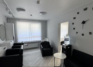 Помещение свободного назначения на продажу, 60 м2, Барнаул, Северо-Западная улица, 15к1, Железнодорожный район