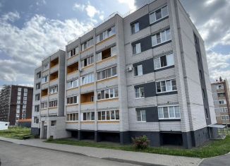 Продаю квартиру студию, 26 м2, деревня Хохряки, Муромская улица, 3