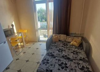 Аренда квартиры студии, 18 м2, Сириус, Весёлая улица, 28с1