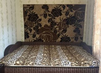 Сдача в аренду комнаты, 27 м2, Санкт-Петербург, улица Ольги Берггольц, 34, Невский район