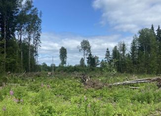 Продается участок, 8.8 сот., Березники, Осиновая улица