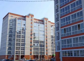 Продается квартира студия, 23 м2, село Чигири, улица Василенко, 7/2