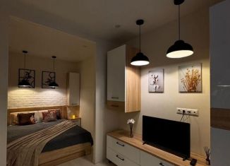 Аренда квартиры студии, 30 м2, село Засечное, Фонтанная улица, 14, ЖК Радужные Дворы