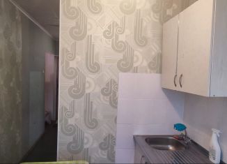 Аренда 1-ком. квартиры, 30 м2, Искитим, микрорайон Южный, 6