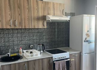 Сдается 1-комнатная квартира, 30 м2, Мурино, улица Шувалова, ЖК Краски Лета