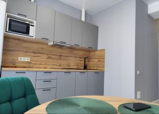 Сдаю 1-ком. квартиру, 40 м2, Сочи, Пасечная улица, 45Г/1, микрорайон Донская