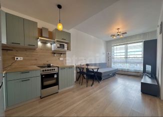 Сдам 1-комнатную квартиру, 35 м2, городской посёлок Янино-1, Голландская улица, 16