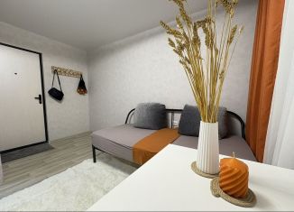 Продажа квартиры студии, 13 м2, Липецк, Звёздная улица, 16/2