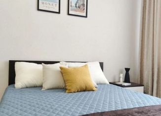Сдается 1-комнатная квартира, 40 м2, Красноярск, улица Академгородок, 66