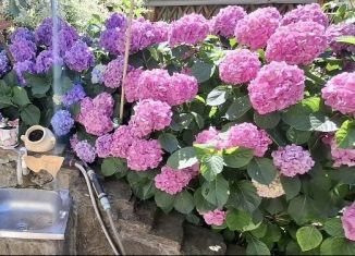 Продажа дома, 25 м2, Курск, садоводческое некоммерческое товарищество Моква, 109